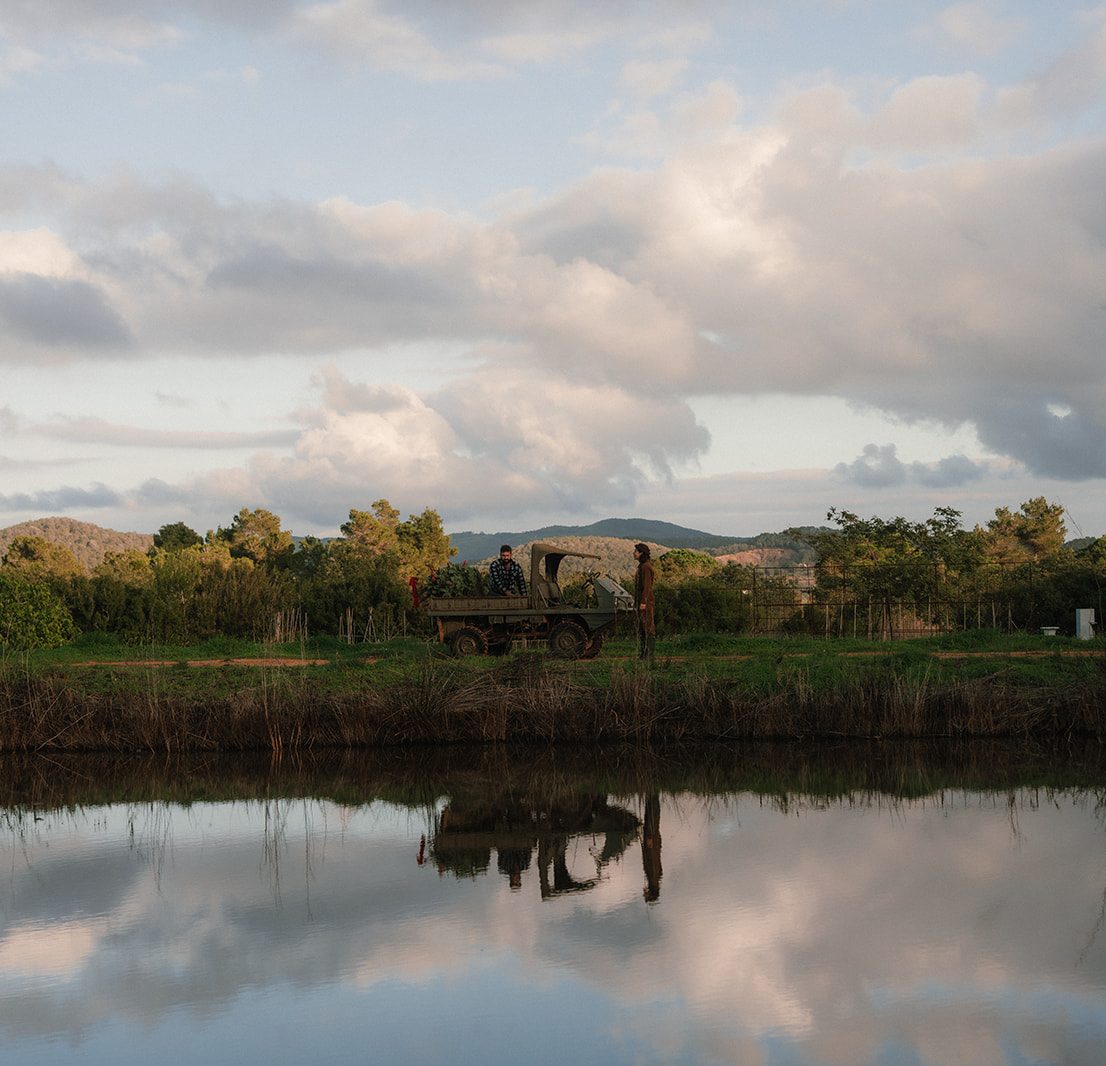 Christmas magic on The Farm